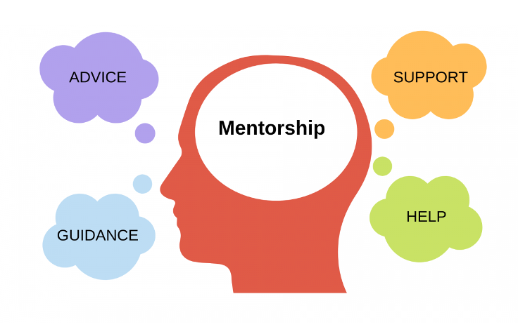 Building a Mentorship Program to Fuel Professional Growth