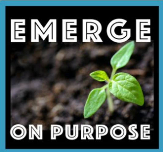 Emerge on Purpose: Mastering the Art of Sales Enablement